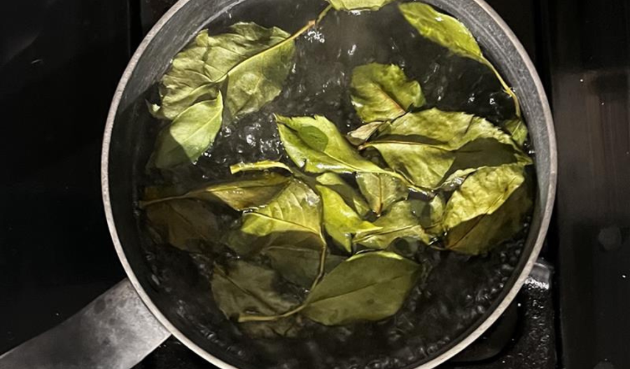 Leaves