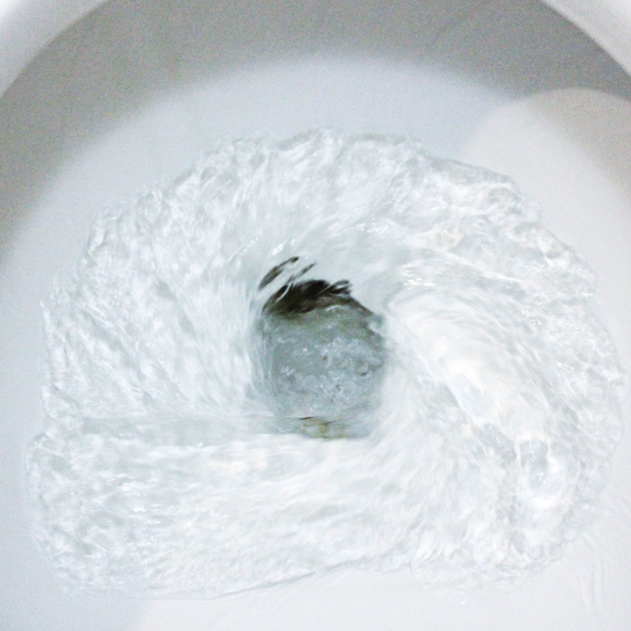 toilet