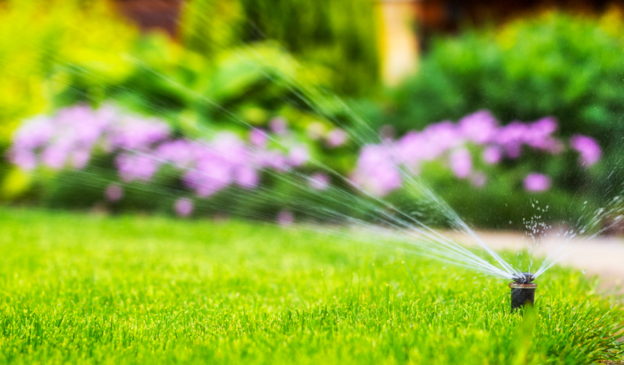 Check Water Systems