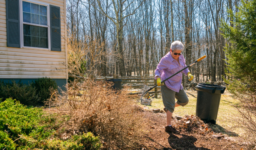 Clean Yard