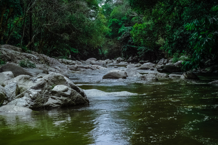 Creek