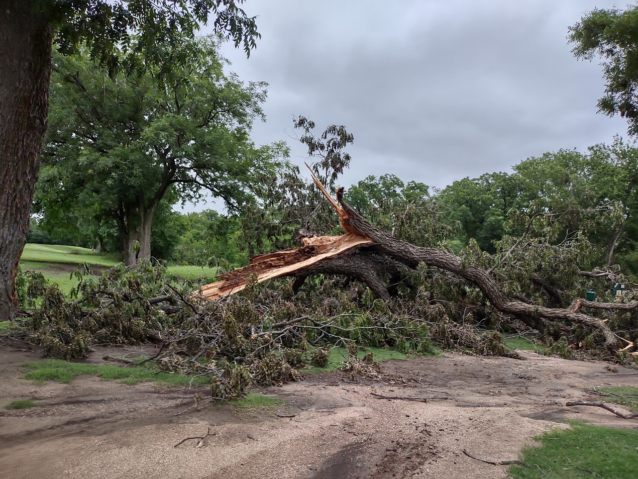 Golf Course damage