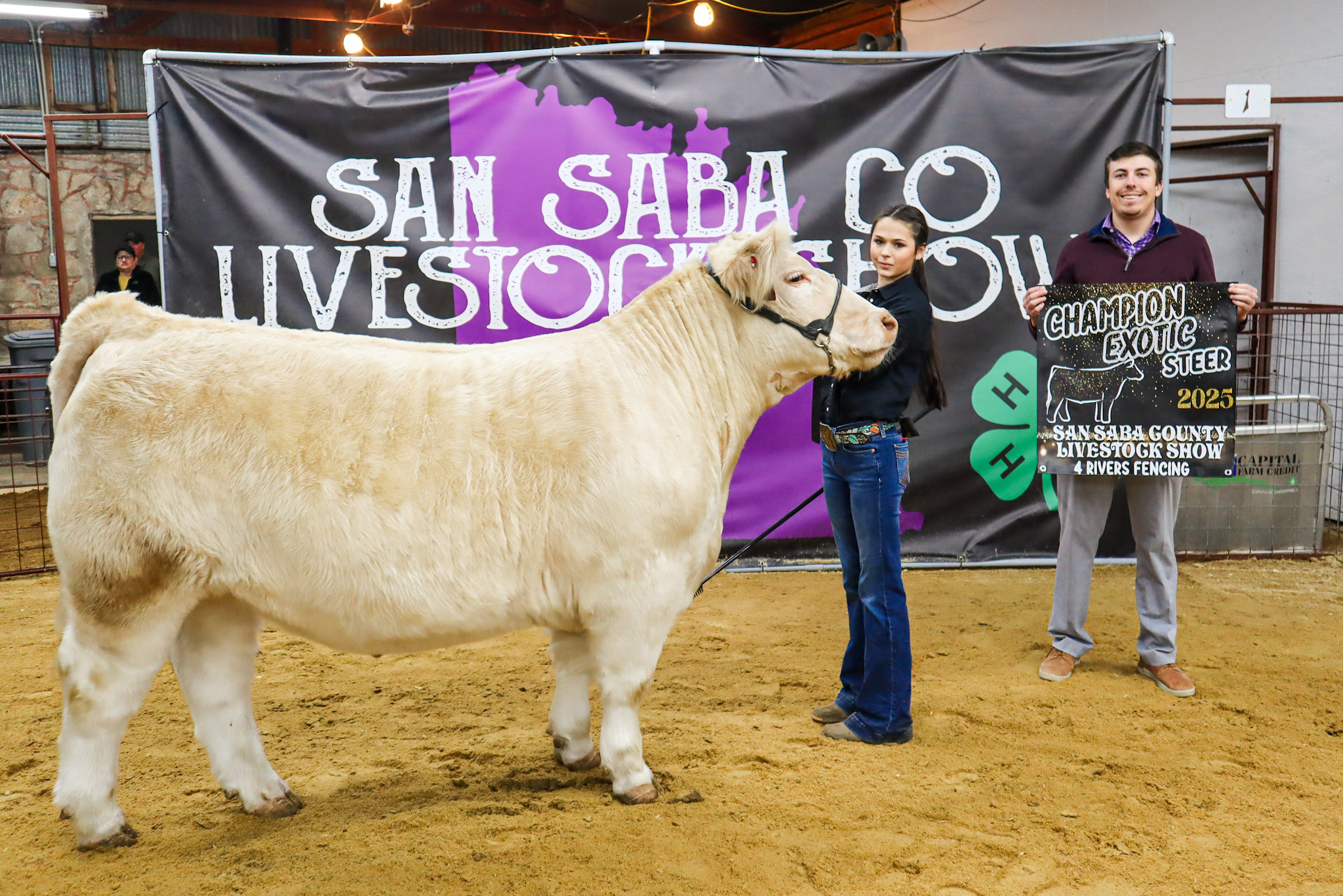 Champion Exotic Breed Steer/Overall Grand Champion Steer - Bailey Mask