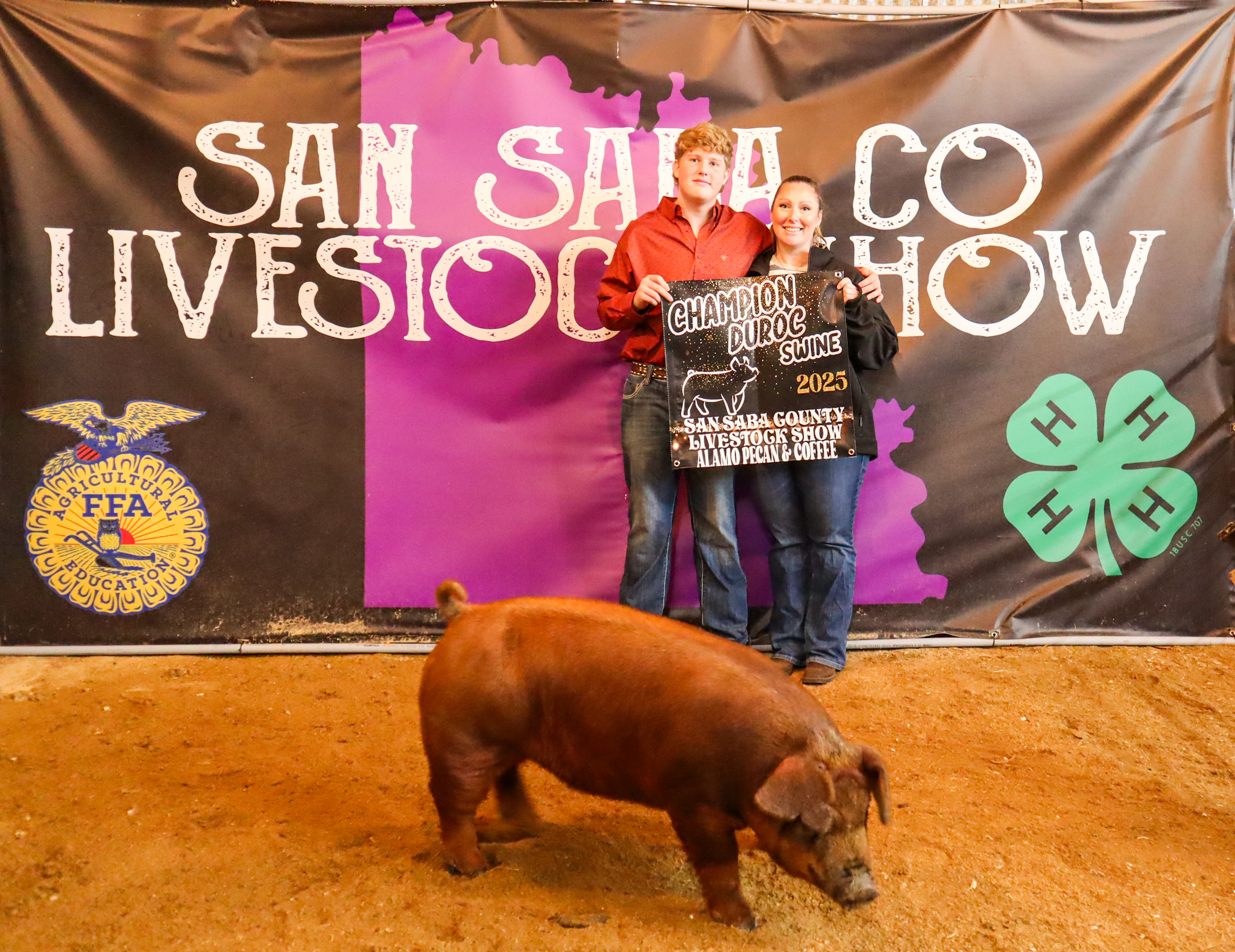 Champion Duroc Swine - Franky Penney