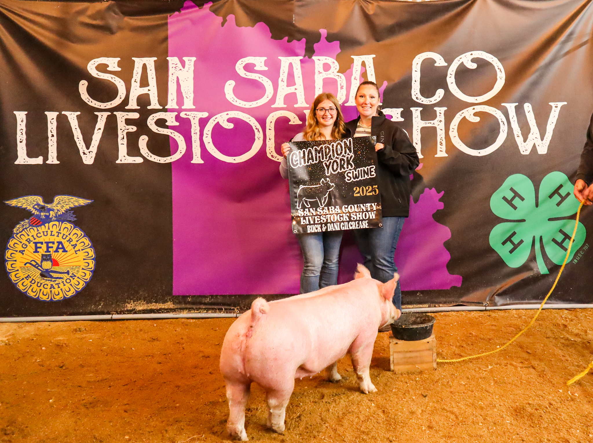 Champion York Swine - Hannah Sims