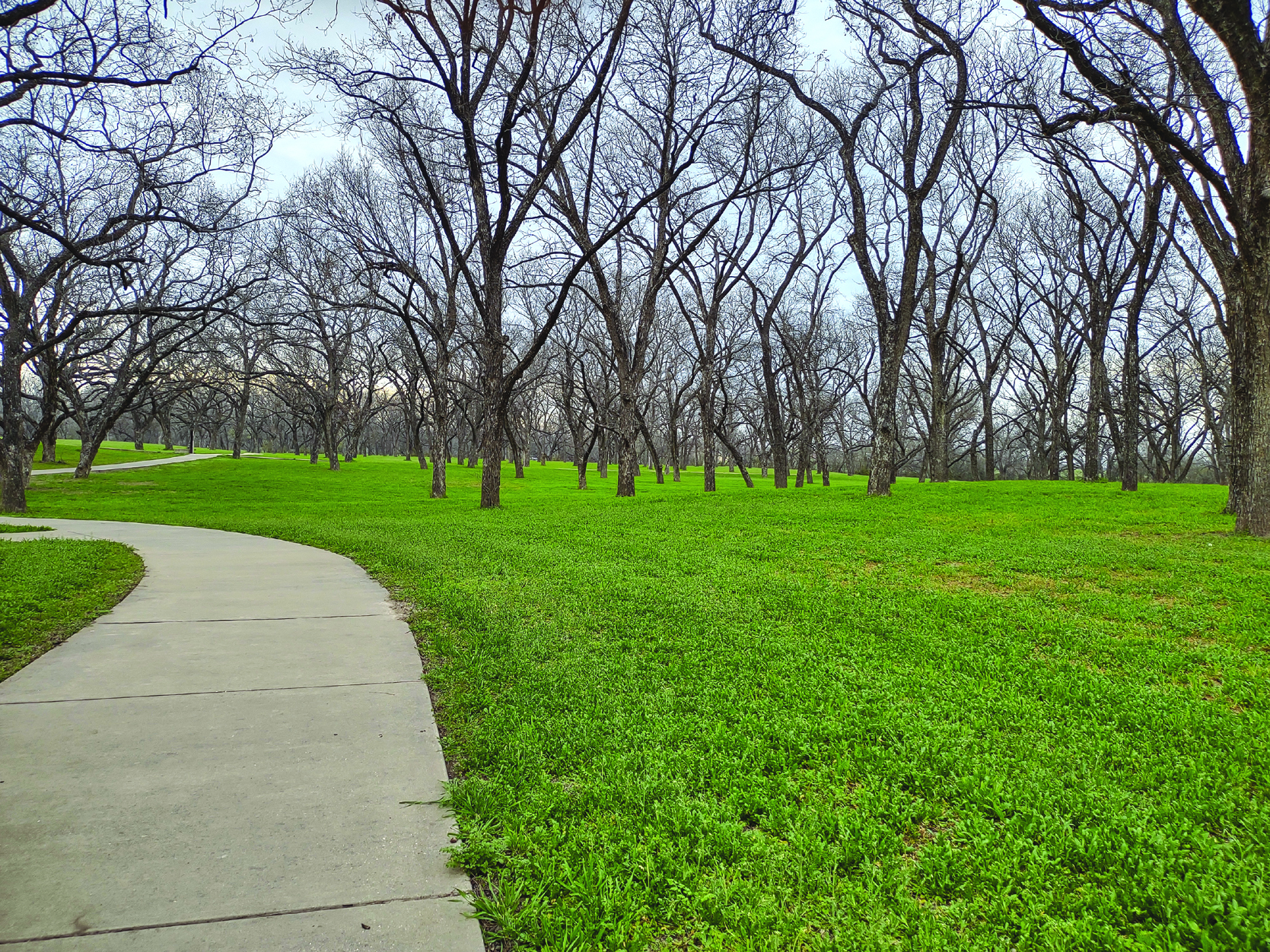 San Saba River Nature Park