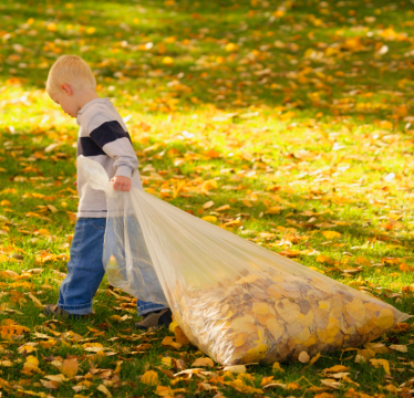 Boy with leaf bag