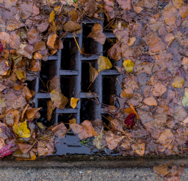 Clogged storm drain