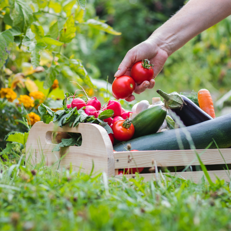 Garden Besties: Dream Team Pairings