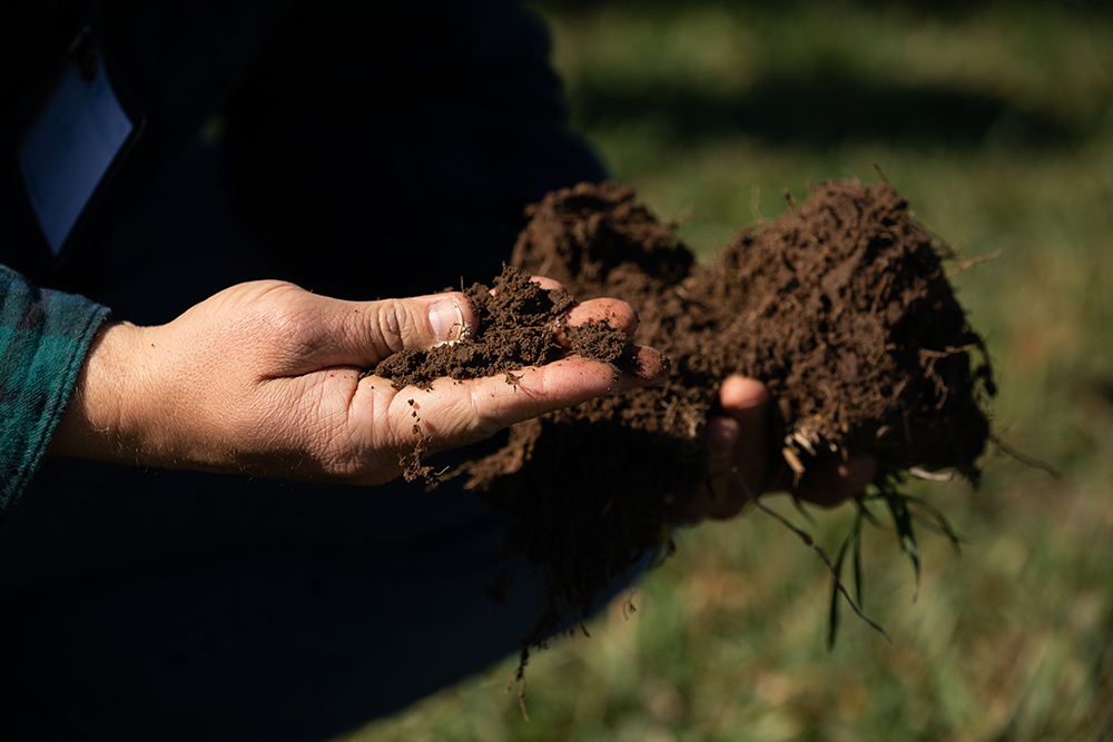 Increase green by optimizing soil health