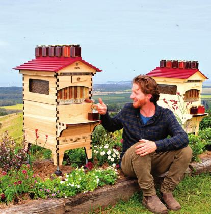 Cedar Anderson, inventor of the Flow Hive, removes honey without opening his hives. He will answer questions via a live Skype session at the Bee School in Brenham on March 26th.
