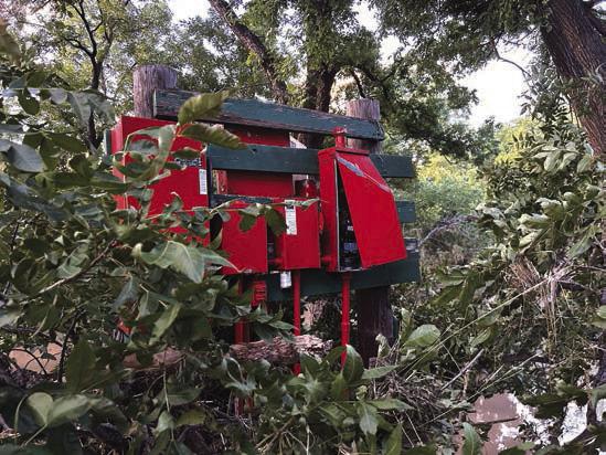 There was about a 20 feet rise in the water, with debris, that came up and over this electrical box. Courtesy of The Great San Saba River Pecan Company