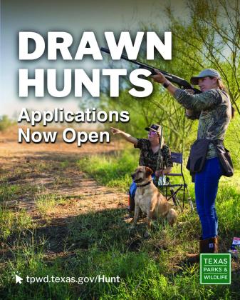 TPWD Accepting Drawn Hunt Permit Applications for 2026-27 Season