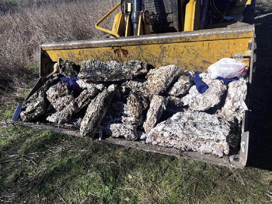 The grease pieces would come out in logs.They had a tool on a pole where they would hoist the grease ‘log’ up and set it up in the bucket of the backhoe.