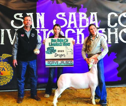 Sr. Sheep Showmanship - Payton Hanley