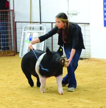 Sr. Swine Showmanship - Bailey Mask