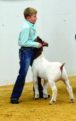 Jr. Goat Showmanship - Brody Edmondson
