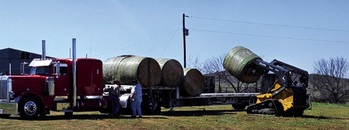 Loading up large round hay bales bound for Canadian, Texas