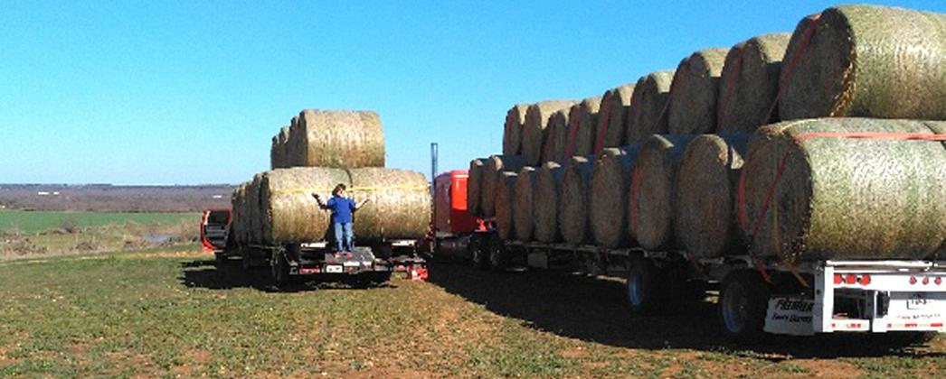 A little child standing by the large hay bales will give you an idea of just how big those bales are.