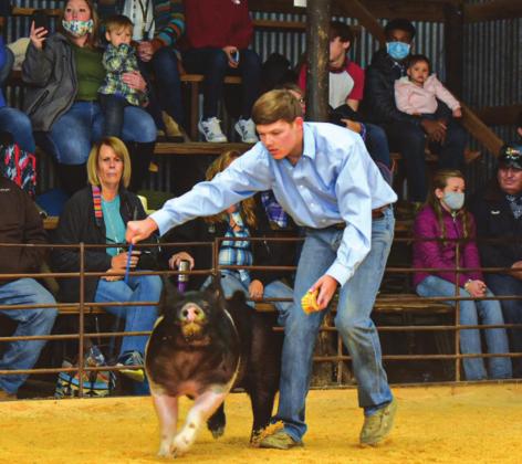 More 2021 San Saba County Stock Show Results