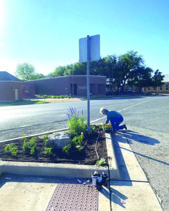 Planting flowers in the Courthouse flowerbeds