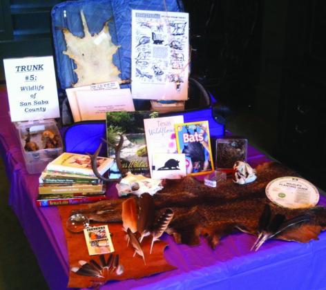 Wildlife Trunk