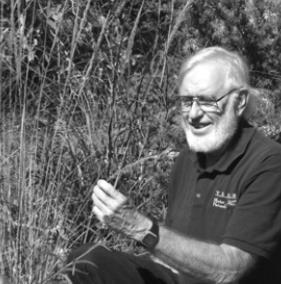 Hill Country