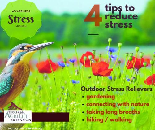 Texas A&amp;M AgriLife Extension observes Stress Awareness Month
