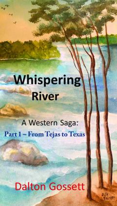 San Saba Native releases first novel