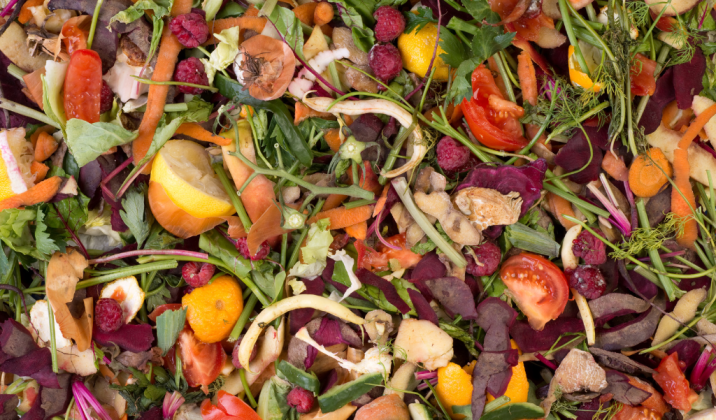 Compost