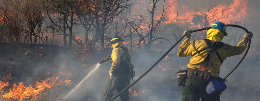 Fighting Wildfire