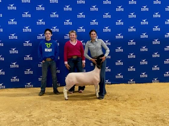 Livestock show - Paton Hanley 2nd Place Heavy Weight Dorper Lamb Rodeo Austin (Bryli Edmondson &amp; Preston Hanley)