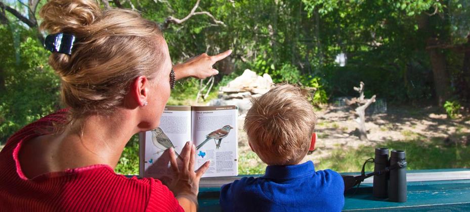 South Llano River State Park - BIRDING
