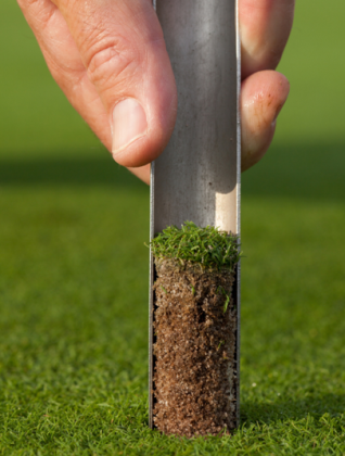 Soil Sample