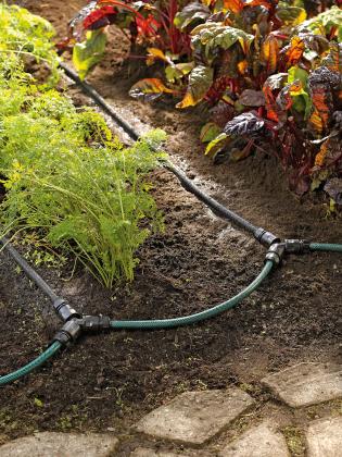 Photo courtesy of Gardener’s Supply Company/gardeners.com