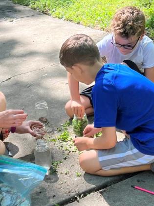 Children engaged in an activity during 2023 Kids' Nature Kamp