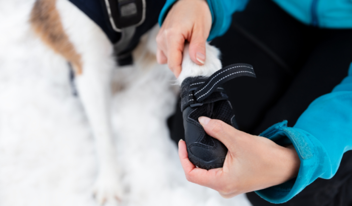 Tip #3: Practice with equipment prior to going on a hike