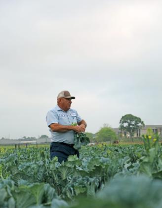 Texas has lost more than 2 million acres of farm and ranch land in the last quarter-century. Proposition 1 maintains the legacy of agriculture in our state by protecting the right to farm and ranch.