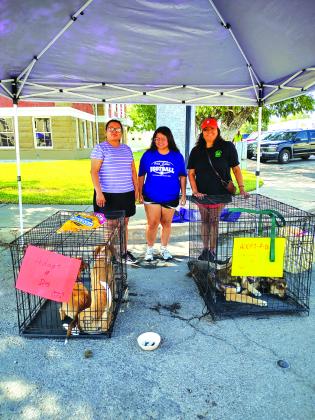San Saba County Friends of Animals