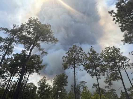 Shearwood Creak Fire - Jasper County
