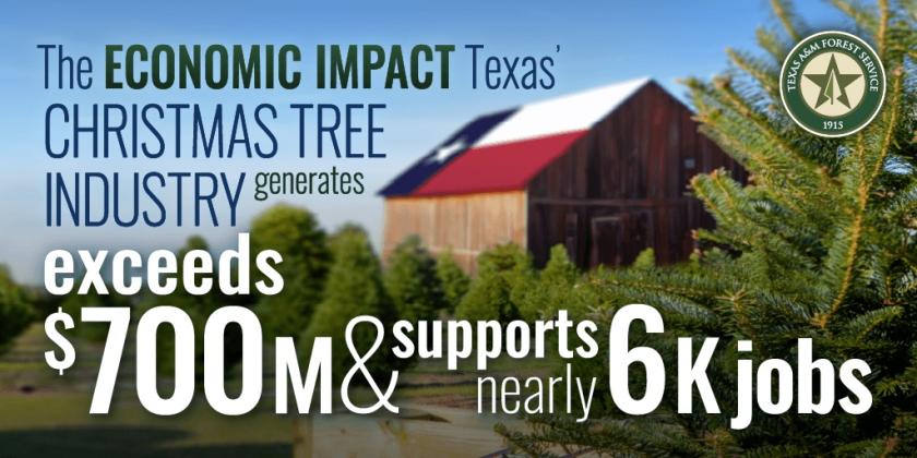 ​    ​While Christmas trees are grown in all 50 states, the Texas Christmas tree industry is notable for its large economic impact, which ranks second among southern states according to the U.S. Bureau of Labor Statistics. Texas A&M Forest Service