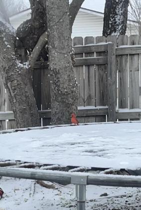 Brown St. San Saba Photo credit Kayla Salinas Rodriguez