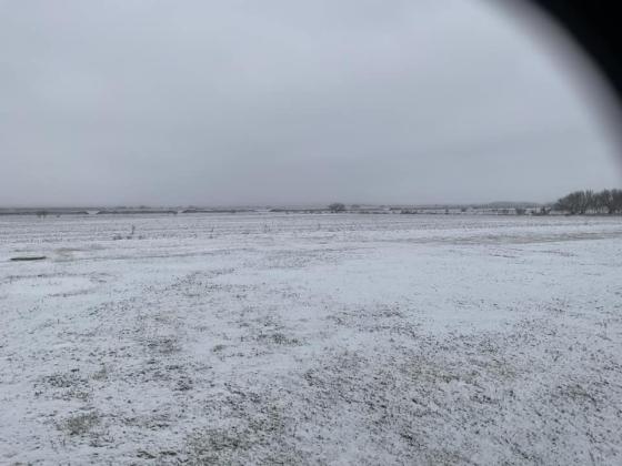 North of San Saba Photo credit Kay Burnett
