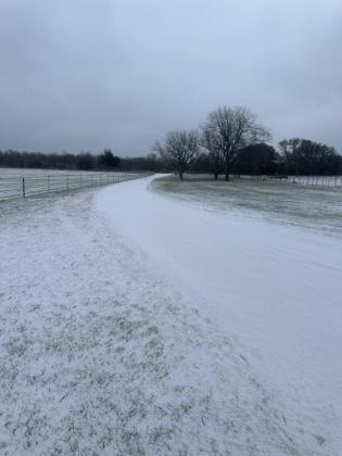 Pecan Grove Photo credit Autumn Terry
