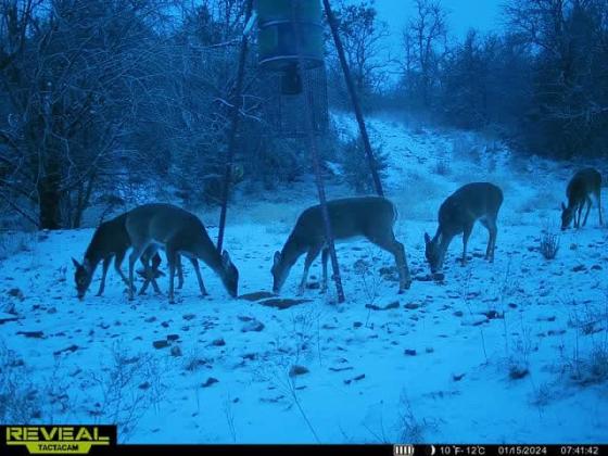 Photo credit Debbie Davidson Bohannon
