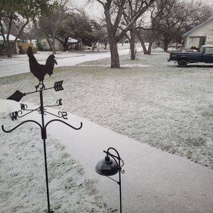 Photo credit Rhonda Kight Waidmann
