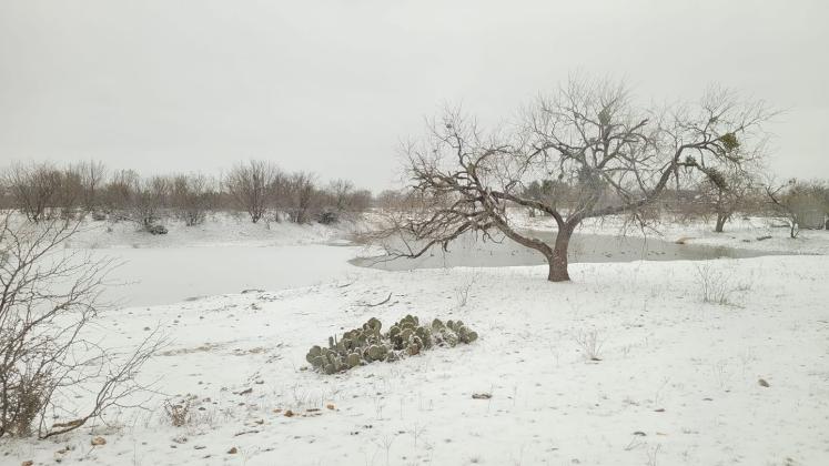 Spring Creek Photo credit Stephanie Hibler