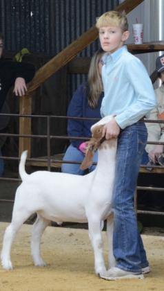 Junior Goat Showmanship - Brody Edmondson