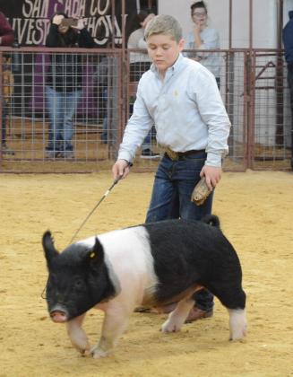 Junior Swine Showmanship - Jace Stewardson