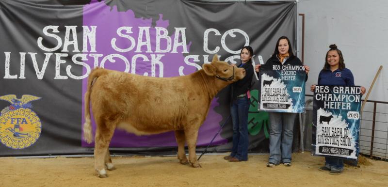 Stock show - Reserve Grand Champion Heifer - Bailey Mask